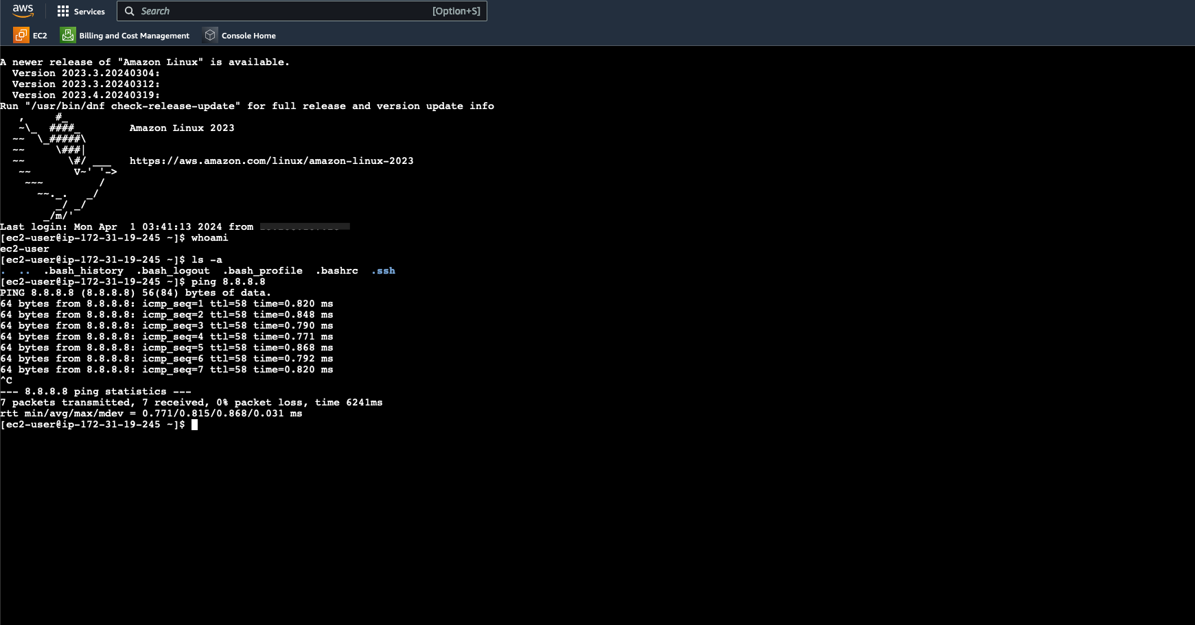 Accessing the EC2 Instance Connect Linux Terminal